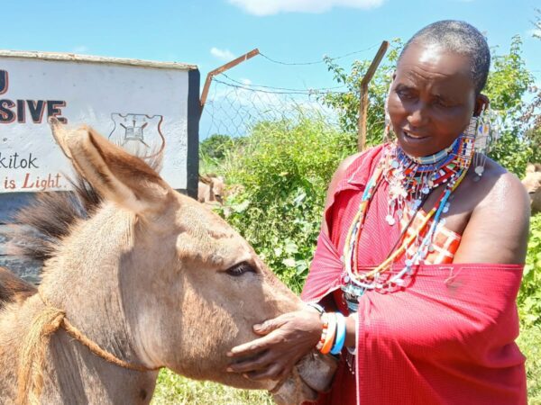 A working donkey and their owner in Kenya visit a mobile veterinary clinic