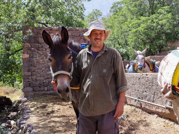 An owner takes his mule for treatment at a SPANA mobile veterinary clinic in Morocco's High Atlas Mountains