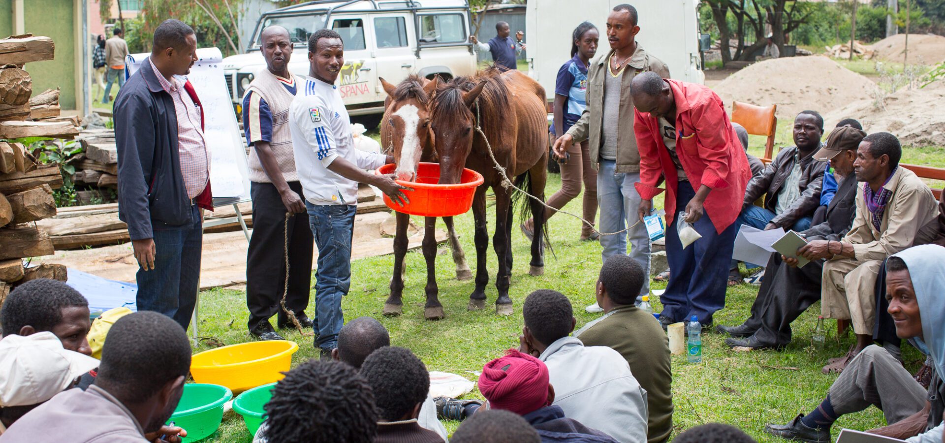 A group of people stand around in a community training session. A few individuals are holding a container which two horses are feeding from.