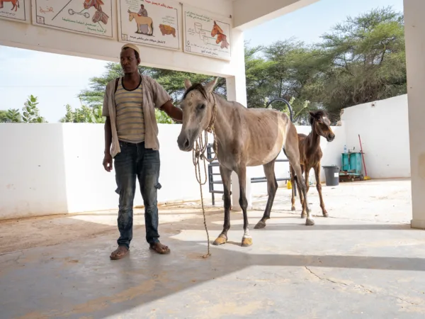 A worried owner waits with his ill horse at a SPANA veterinary centre in Mauritania