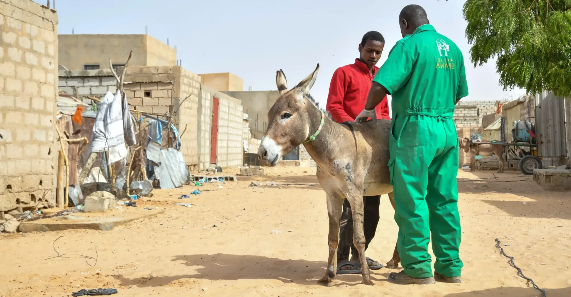 Aly received treatment at the mobile clinic