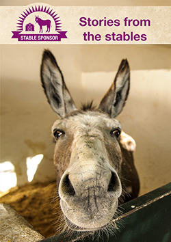Front cover of October Stories from the Stables update